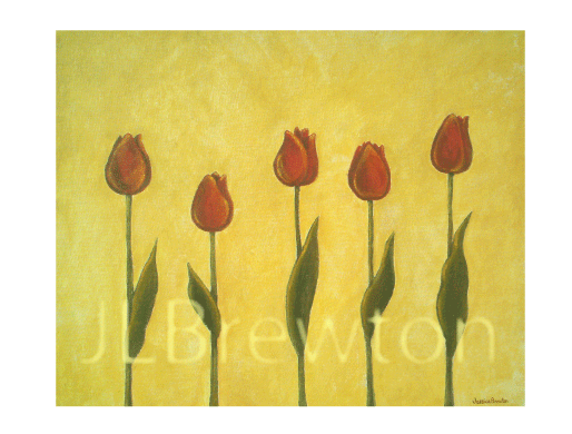 Row of Tulips